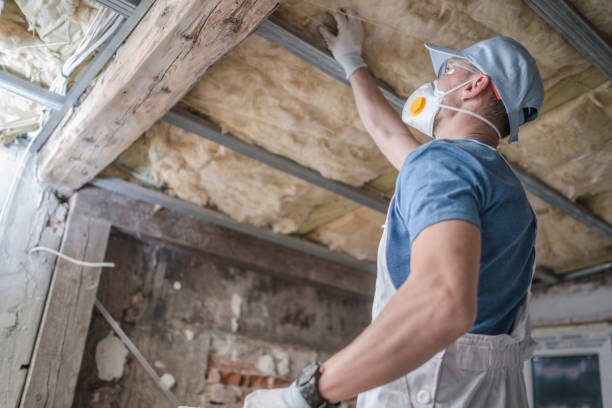 Best Home Insulation Services  in Las Animas, CO