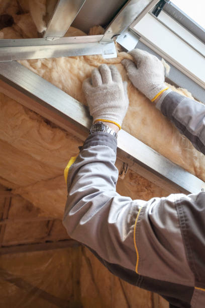 Best Garage Insulation Installation  in Las Animas, CO