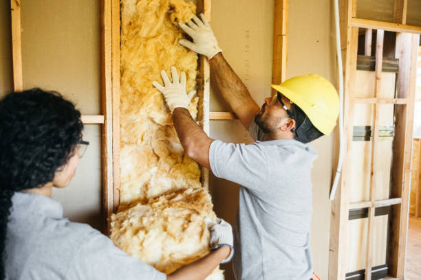 Best Insulation Replacement Services  in Las Animas, CO