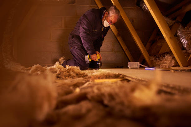 Best Cellulose Insulation  in Las Animas, CO